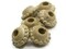 6 24mm x 15mm Large Hole Brown Speckled Rondelle Vintage Plastic Beads